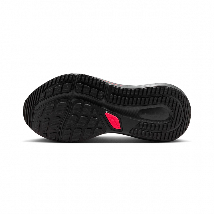 Nike Winflo 12
