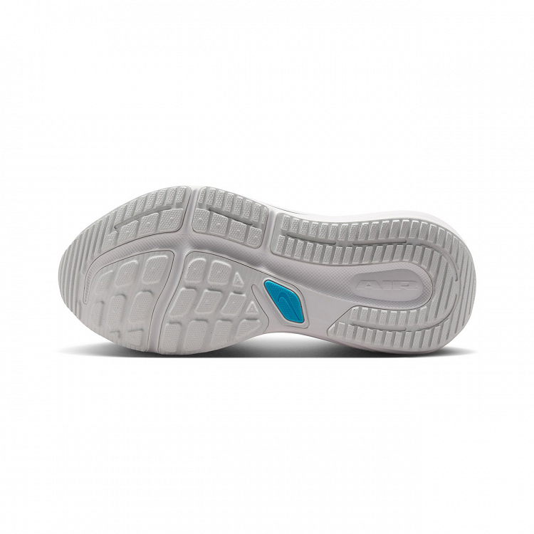Nike Winflo 12