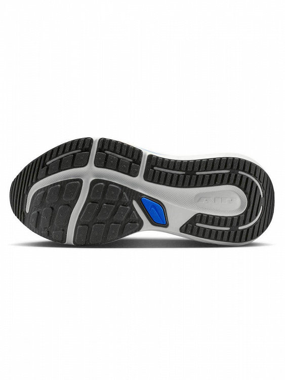 Nike Winflo 12