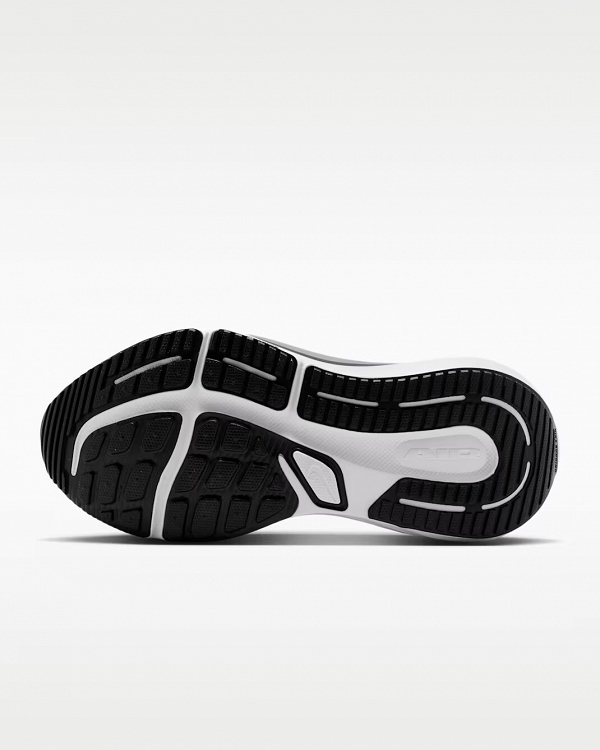 Nike Air Winflo 12