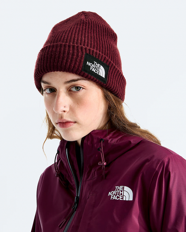 SALTY LINED BEANIE