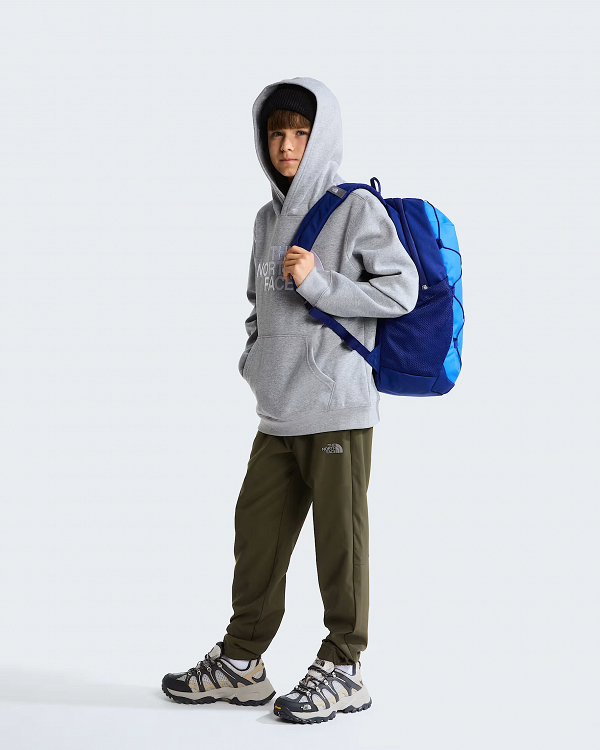 TEEN TNF ESSENTIAL HDY