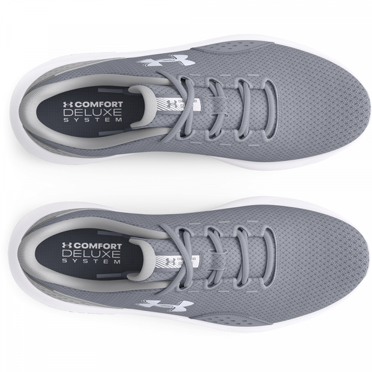 UA Charged Surge 4