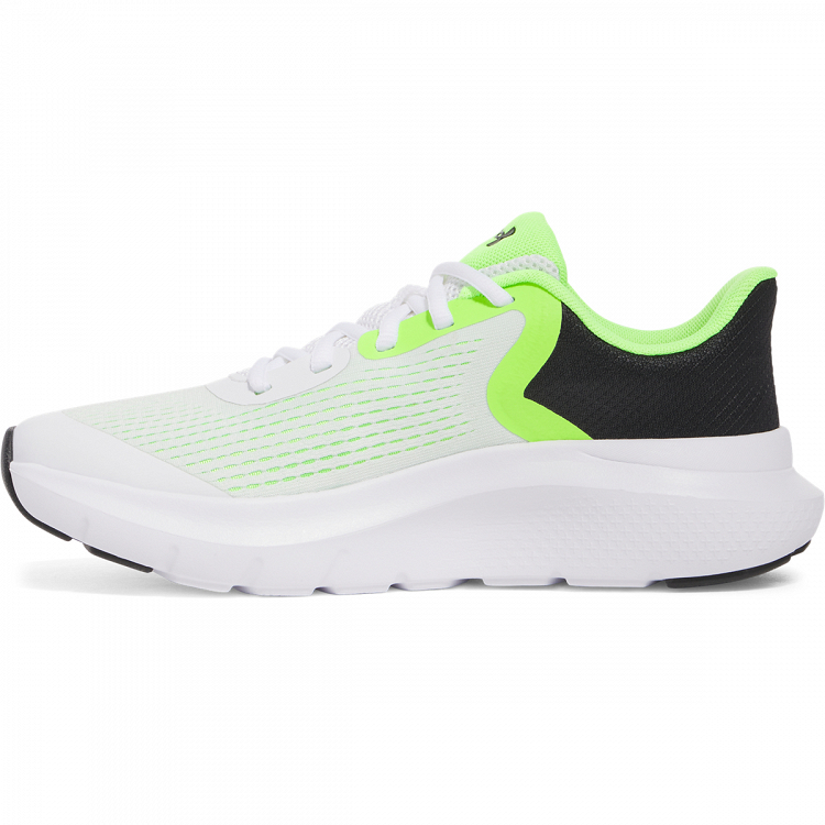 UA BGS Rogue 5