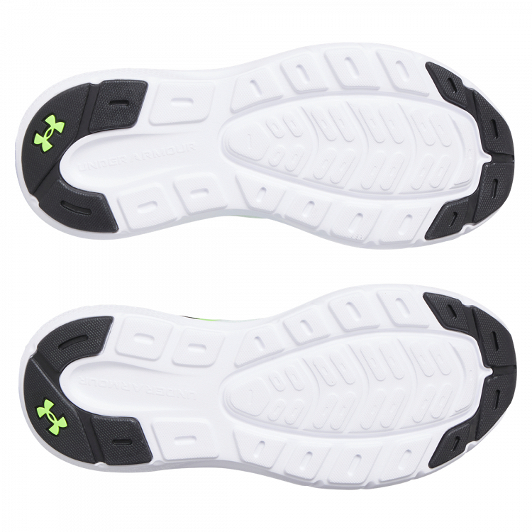 UA BGS Rogue 5