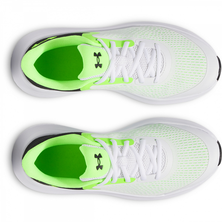 UA BGS Rogue 5