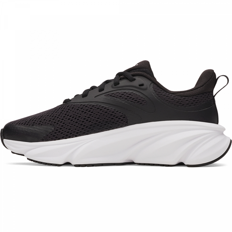 UA BGS Rogue 6