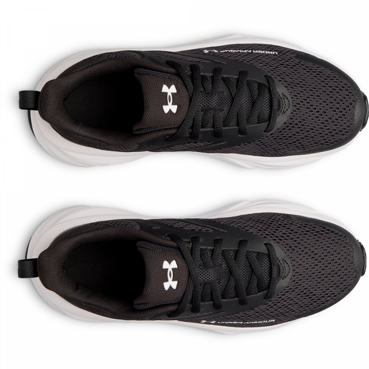 UA BGS Rogue 6