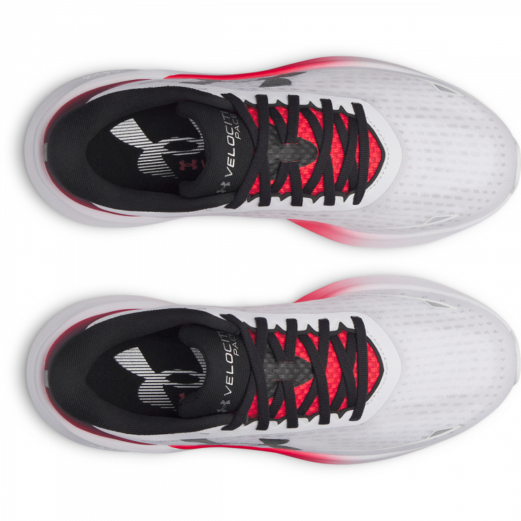 UA Velociti Pace