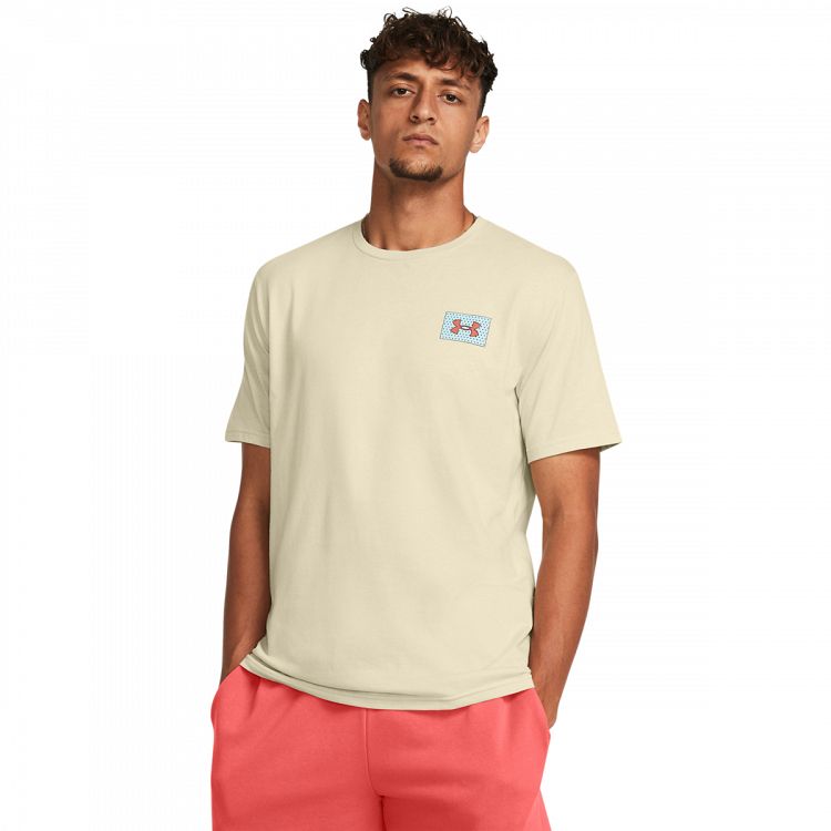 UA Color Block Logo ​LC