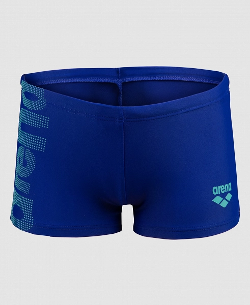 Arena Logo Kids Boy Short - 003612