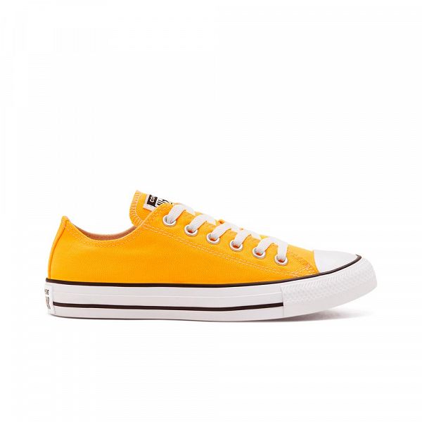 CHUCK TAYLOR ALL STAR SEASONAL - 167235C