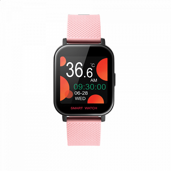 DAS.4 SL44 WATCH - 50233