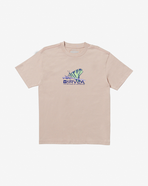 NATURAL SCIENCE SS - 23A351558