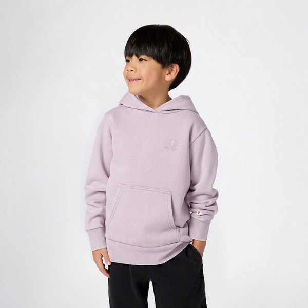 Champion Hooded Sweatshirt - 307277