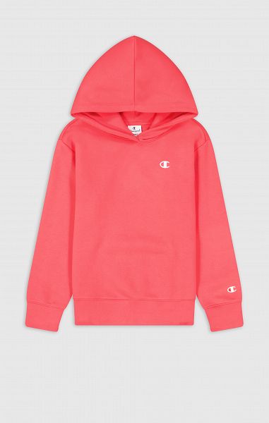 Hooded Sweatshirt - 404827