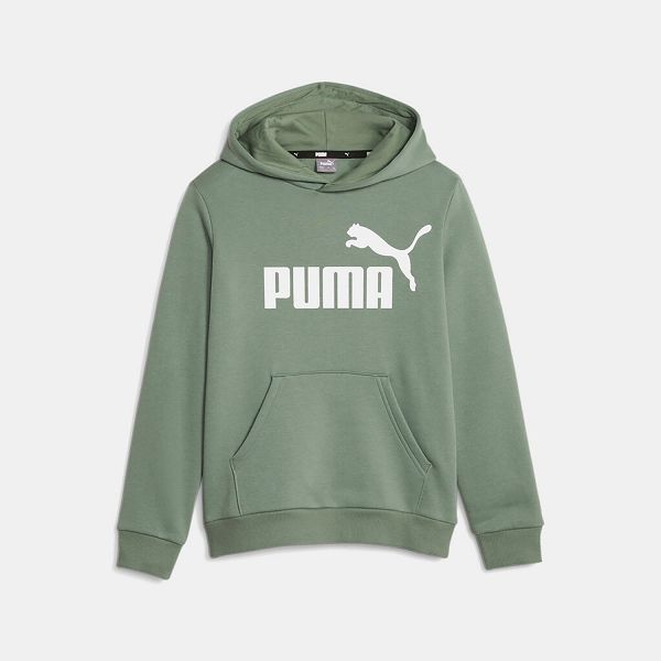 ESS Big Logo Hoodie FL B - 586965