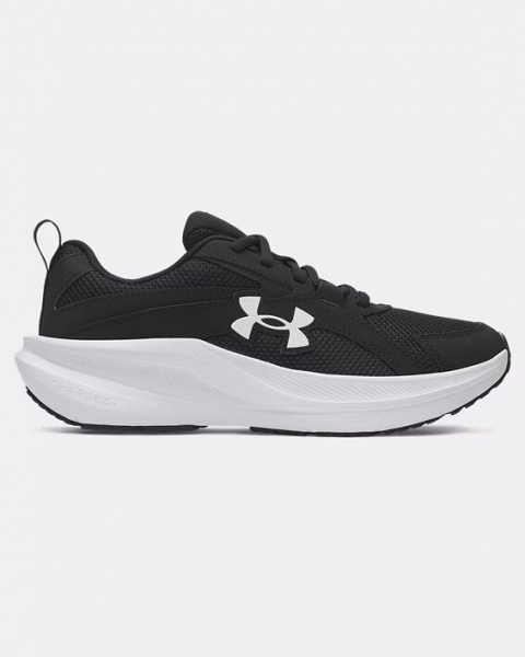 UA BGS Assert 11 - 6006905