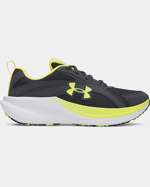 UA BGS Assert 11 - 6006905
