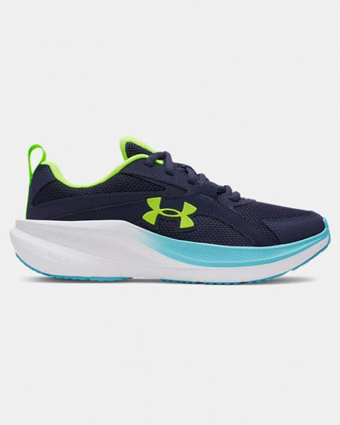 UA BGS Assert 11 - 6006905