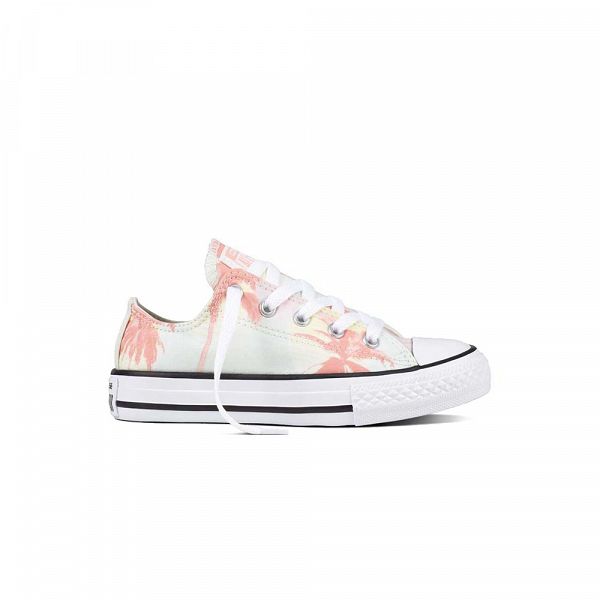 J CHUCK TAYLOR ALLSTAR OX - 659959C