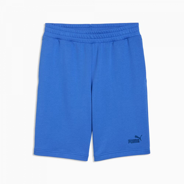 ESS No. 1 Logo Shorts 10" (s) - 682595