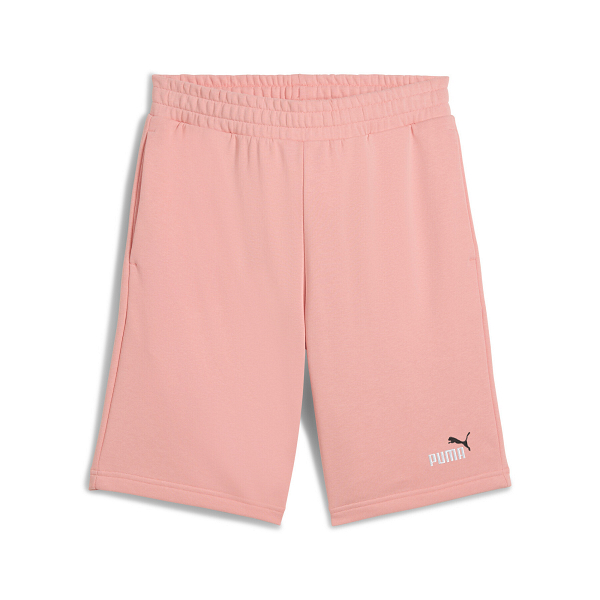 ESS 2 COLOR No. 1 Logo Shorts 10" TR - 684715
