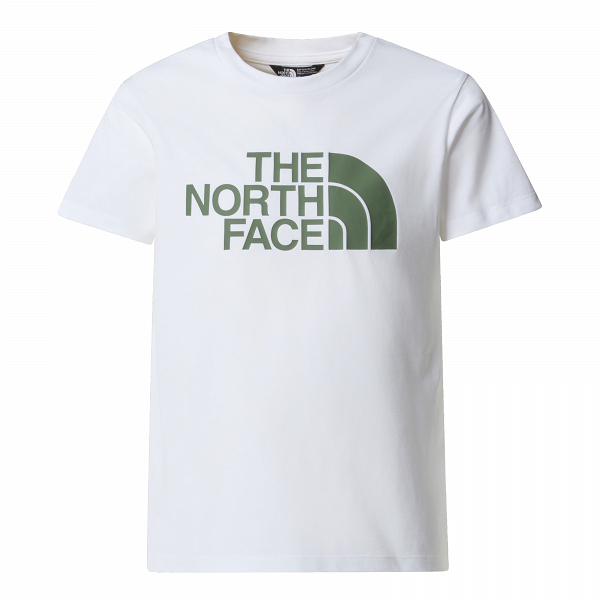 B S/S EASY TEE - NF0A8DRN