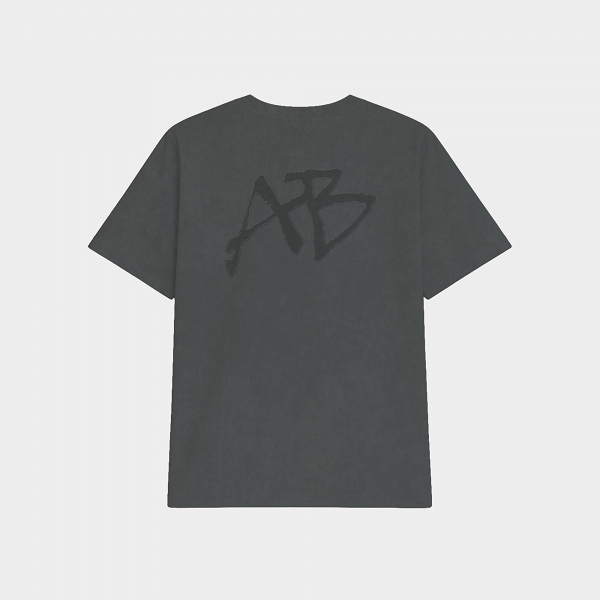 Ab Aplique Stonewashed Tee - APCD162U25