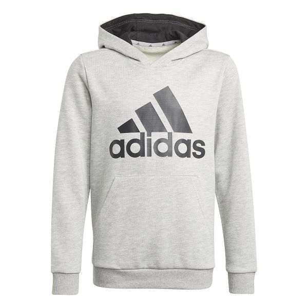 adidas Essentials Hoodie - GN4019