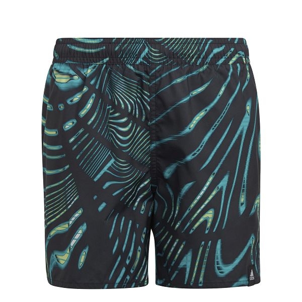 BOYS GRAPHIC SHORT - HC9638