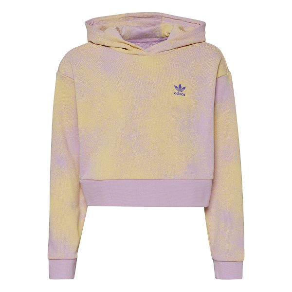 Graphic Print Crop Hoodie - HK2942