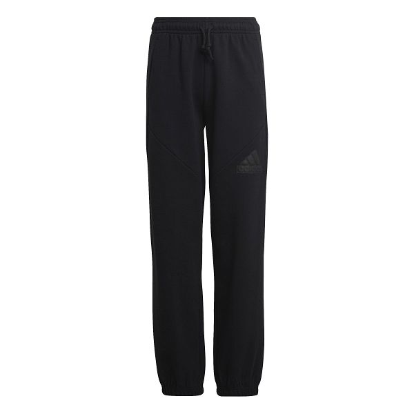 Future Icons Logo Pants - HR6286