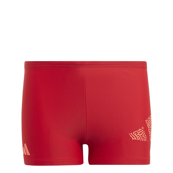 3 Bar Logo Swim Boxers - IC4739