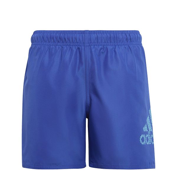 Logo CLX Swim Shorts - IC7696