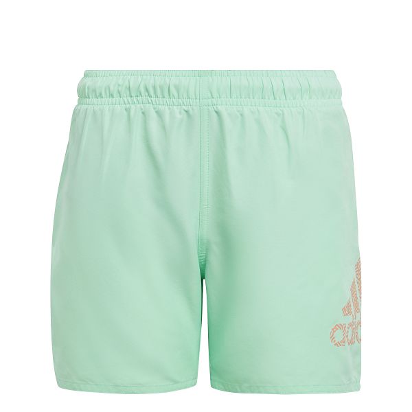 Logo CLX Swim Shorts - IC7697