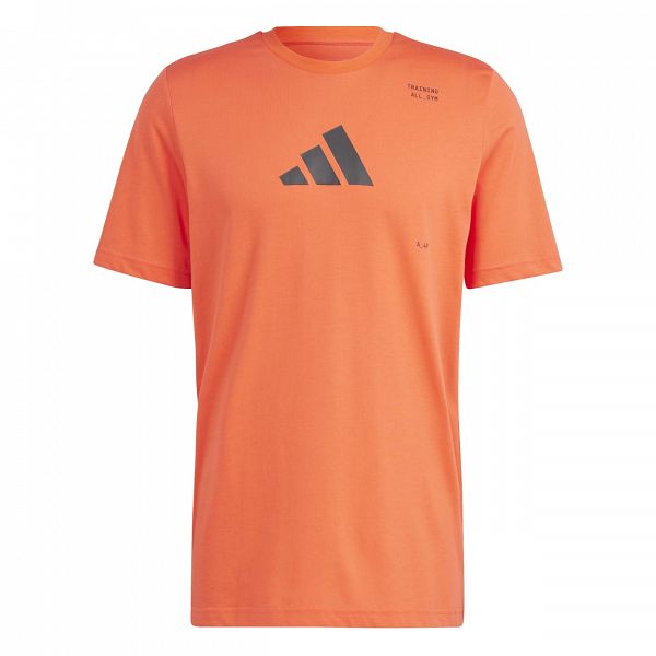 AEROREADY All-Gym Category Graphic T-Shirt - IS7090