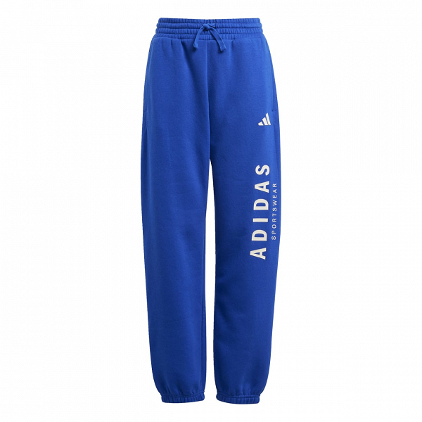 J ALL SZN GFX PANT - JC7613