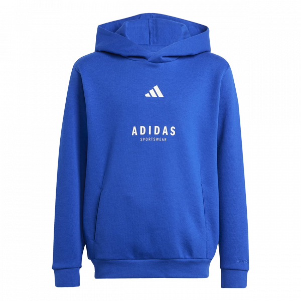 J ALL SZN GFX HOODIE - JC7618