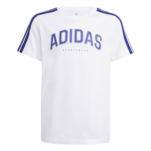 CODES COLLEGIATE GRAPHIC T-SHIRT - JI6674