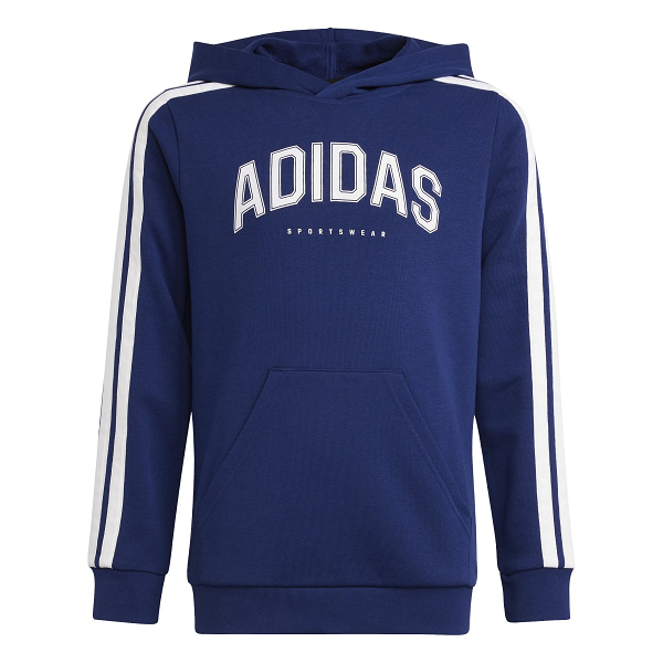 CODES COLLEGIATE GRAPHIC HOODIE - JM7359