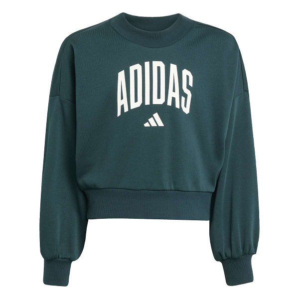 Seasonals Essentials Collegiate Typography Crew - JV7377