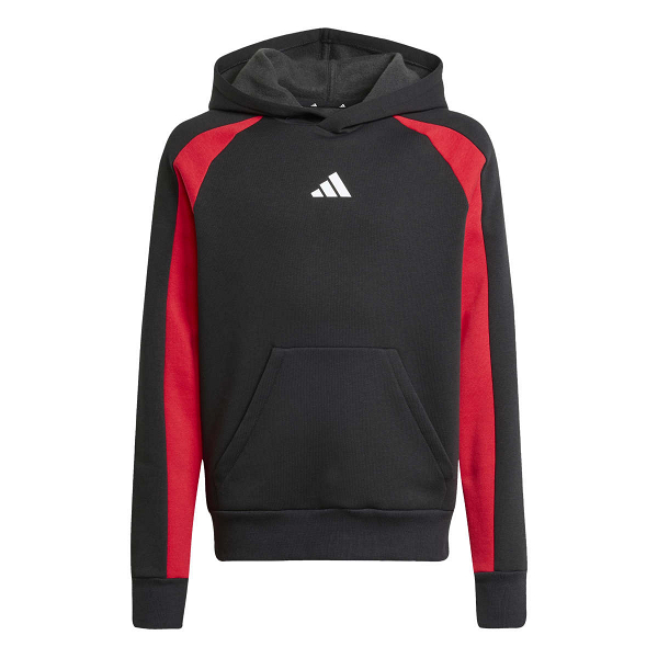 SEASONAL ESSENTIALS COLORBLOCK FLEECE HOODIE - JW2491