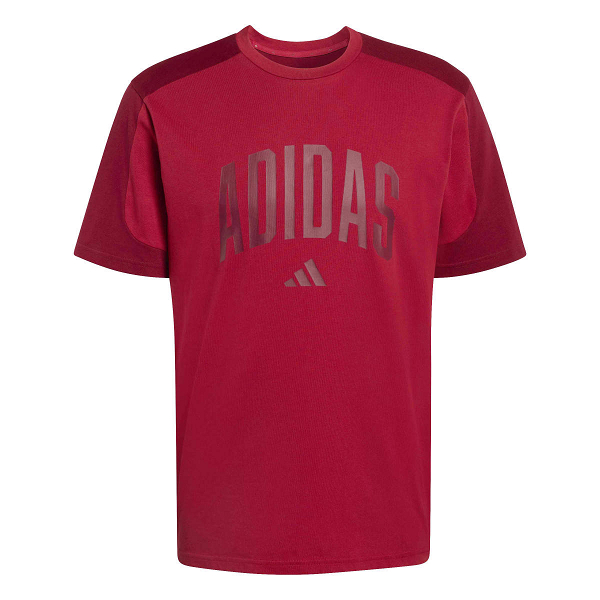 COLLEGIATE T-SHIRT - JZ0170