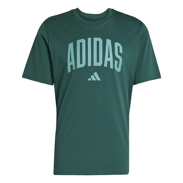 COLLEGIATE LINEAGE GRAPHIC T-SHIRT - KA7135