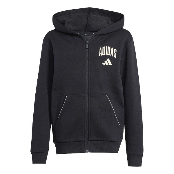 SEASONALS COLLEGIATE TYPOGRAPHY HOODY - KB9671