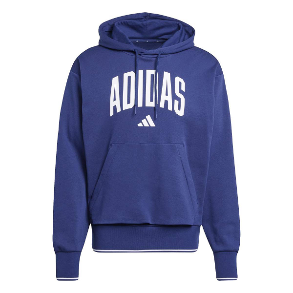 COLLEGIATE HOODIE - KC3874