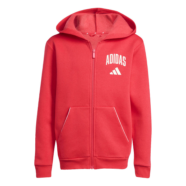 SEASONALS COLLEGIATE TYPOGRAPHY HOODY - KC4582