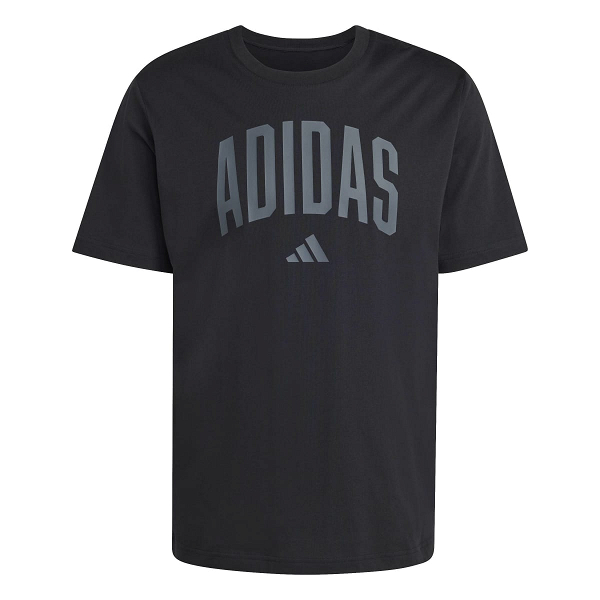 COLLEGIATE LINEAGE GRAPHIC T-SHIRT - KH4592