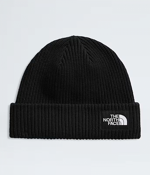 SALTY LINED BEANIE - NF0A8CGZ
